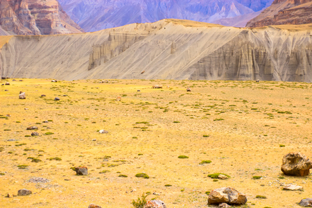 Amazing yellow meadow high in the mountains of the Himalayas. Like a desert.の写真素材
