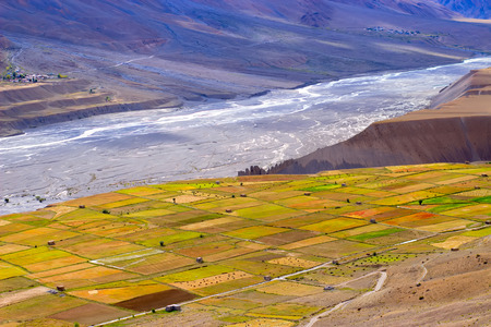 Multi-colored fields of various grain crops high in the mountains of the Himalayasの写真素材
