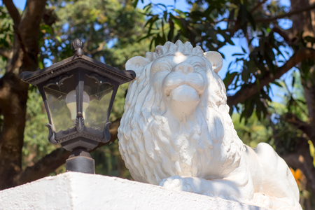 A white sculpture of a lying lion in the park guards a latern.の写真素材