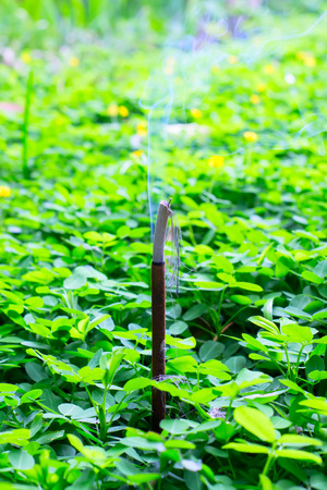 Incense stick burning and giving nice smell in the garden for good luckの写真素材