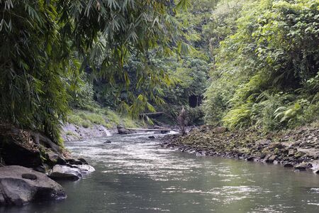 Beautiful quiet river in a tropical forest near Ubud. Virgin nature is only slightly affected by the locals.の写真素材