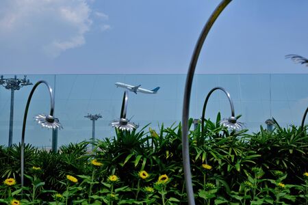 The plane takes off into the blue sky. Metal and real sunflowers in the foreground. The vacation starts from the moment the plane takes off at the airport.の写真素材