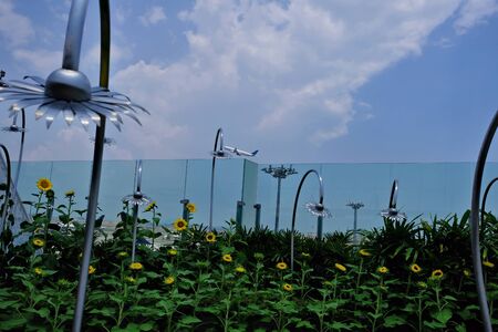 The plane in focus flies up behind the foreground with small sunflowers and blurred metal flowers with mounts. The concept of vacation just started.の写真素材