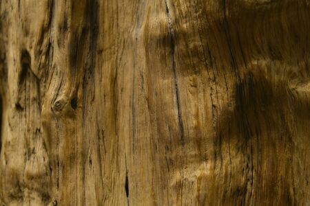 The surface of natural untreated wood with shadows and creases in the natural form. Can be used as background or texture.の写真素材