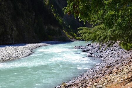 The blue wide turbulent river flows between the mountains and the pine forest. The banks are made of stones, the water glistens in the sun.の写真素材
