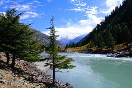 Beautiful view of the turquoise river in the mountains with forests on the banks. Blue sky with white clouds and snowy peaks.の写真素材