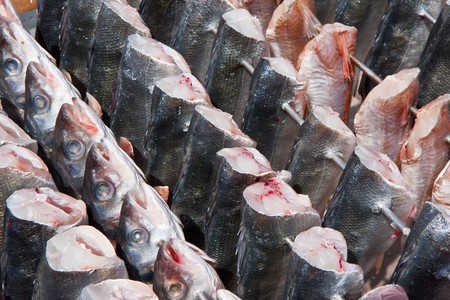 Spit with fresh fish, prepared by smokingの写真素材