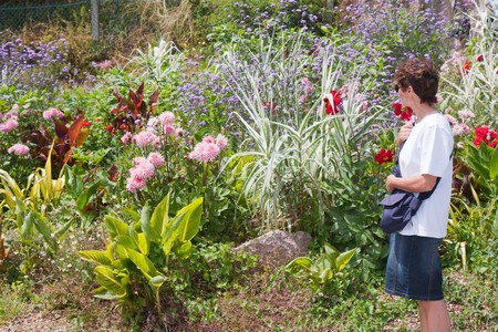 Woman wondering a beautiful garden with colorful flowersの写真素材