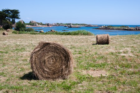 Haystack at beautiful island Brehat in Bretagne, France