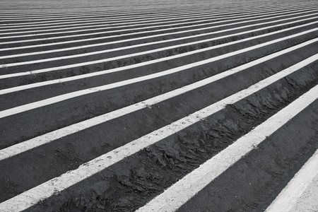 farmland in the Netherlands waiting for springの写真素材