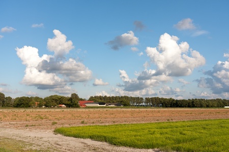 Farmland in the Netherlands with a typical Dutch cloudscapeの写真素材