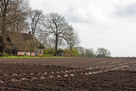 Bare farmland with farmhouse in the Netherlandsの写真素材