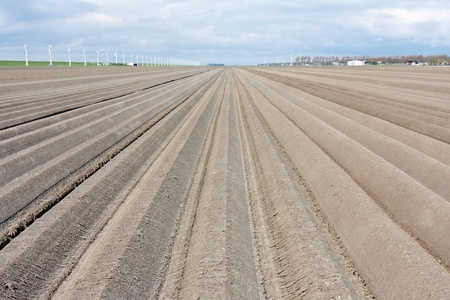 Bare winter farmland in the netherlands, waiting for springの写真素材