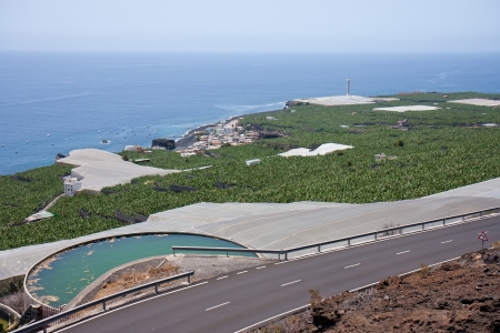 Banana plantations at La Palma, Canary Islands, Spainのeditorial素材