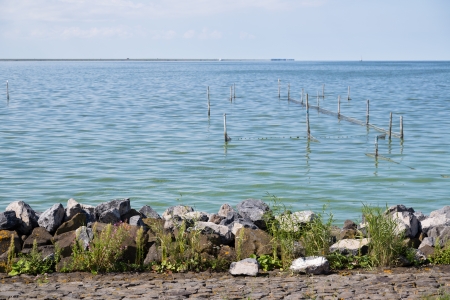 Dutch breakwater with fishing nets near the coastの写真素材