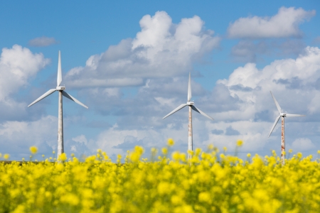 Dutch windturbines behind a yellow coleseed fieldの写真素材
