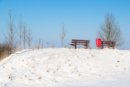 Wooden bench in sunny winter landscapeの写真素材