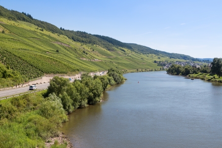 Vineyards along German river Moselleの写真素材