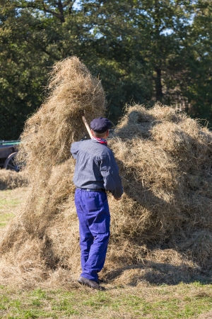 NIEUWEHORNE, THE NETHERLANDS - SEP 28  An unknown farmer is handicraft collecting hay to a haystack during the agricultural festival Flaeijel on September 28, 2013, the Netherlandsのeditorial素材