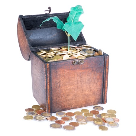 Wooden money chest filled with coins and a money tree, isolated at a white backgroundの写真素材
