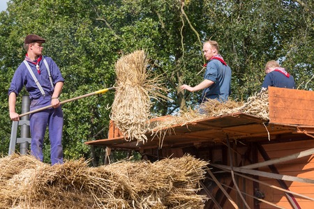 NIEUWEHORNE, THE NETHERLANDS - SEP 27: Farmers loading hay at a traditional hay-wagon during the agricultural festival Flaeijel on September 27, 2014, the Netherlandsのeditorial素材