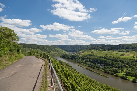 Country road and Vineyards along German river Moselle near Zellの写真素材