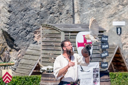BOUILLON, BELGIUM - AUG 13: Bird of prey show on August 13, 2016 in medieval castle of Bouillon, Belgiumのeditorial素材