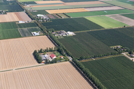 Aerial view Dutch polder Noordoostpolder with farmhouses and agricultural landscape