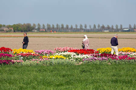 Creil, The Netherlands- April 19, 2019: People visiting a display garden with colorful tulipsのeditorial素材