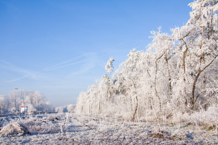 Urk, The Netherlands - December 22, 2007: Winter landscape, Country road to village Urk near snowy wood with hoarfrost at the treesのeditorial素材