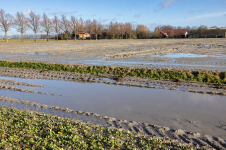 Dutch agricultural landscape with field covered with water pools after a heavy rain shower