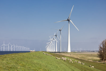 Dutch dike along IJsselmeer with wind turbines and sheepの写真素材
