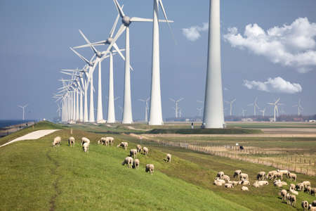 Dutch dike along IJsselmeer with wind turbines and sheepの写真素材