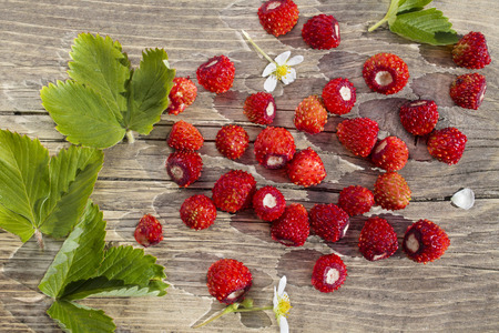 berries wild strawberries with flowers and leaves on a background of old wooden planksの写真素材
