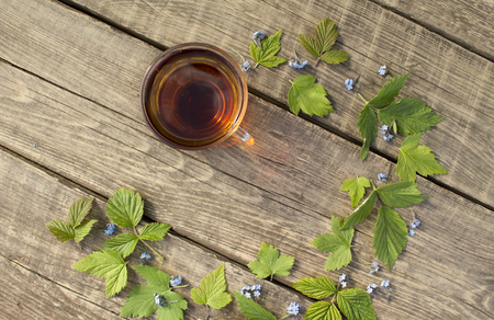 Cup of black tea and the leaves of currant and raspberryの写真素材