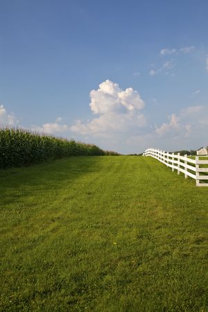 Cornfield with white fence separated by swath of green grass.  Bright blue sky with puffy white clouds.  Old barn in background.Rural New Jersey.  Vertical.の写真素材