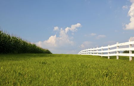 Cornfield with white fence separated by swath of green grass.  Bright blue sky with puffy white clouds.  Rural New Jersey.  Horizontal.の写真素材