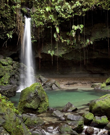 Natural waterfall and pool known as the Emerald Pool in the rainforest of Dominica.の写真素材