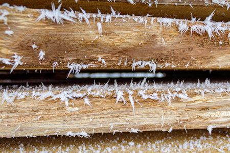 Oak boards in the snowの写真素材