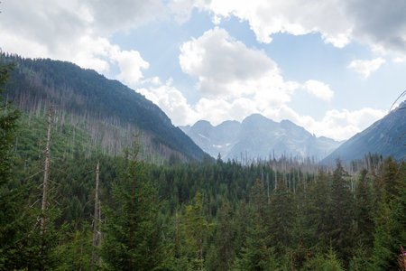 Mountains in the Tatra National Park, Polandの写真素材