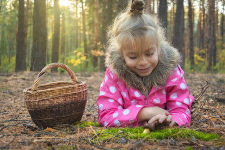 Little girl with a basket collecting mushrooms in the autumn forest.の写真素材