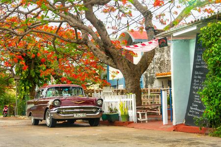 Varadero / Cuba-june 2017.Vintage american car under flowering tree near cafe.のeditorial素材