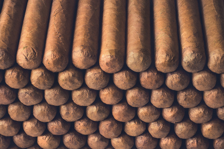 Classic Cuban cigars background. Paradise for smokers. The quality of taste.の写真素材