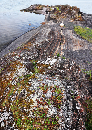 Green and brown moss growing on a rock that sinks into the Oslofjordの写真素材