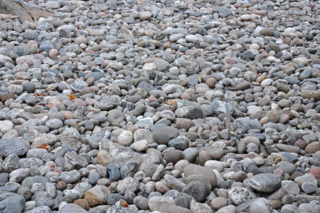 Texture made of oval stones on a flat surface.の写真素材
