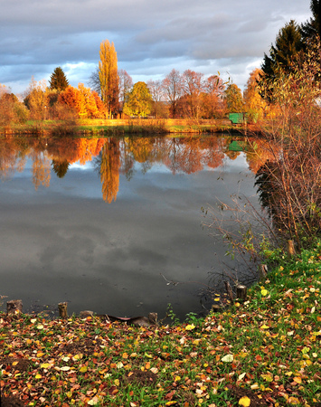 Quiet surface of pond during afternoon autumn sun.の写真素材