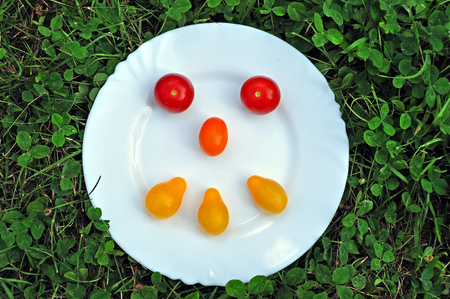 Smiley  made of yellow and red fresh tomatoes on a round white plate in the grass.の写真素材