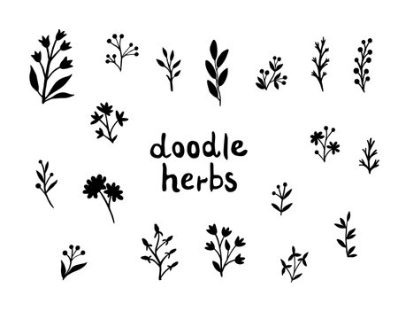 Botanical doodles set. Forest herbs, berries, twigs and flowers are drawn by hands on a white background. Ink graphics. Medicinal plants of Russian fields. Vector boho design silhouettes.のイラスト素材
