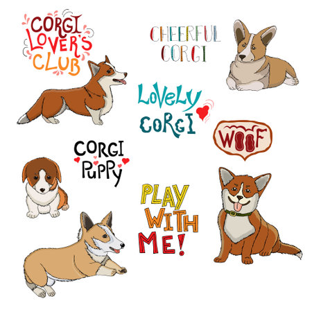 Set of little domestic dogs. Collection of puppies painted by hands on a white background. Pet Corgi. Stock vector illustration for a book, child, print, card.のイラスト素材