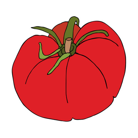 Red ripe Tomato. Isolated vector illustration of a vegetarian natural vegetable.のイラスト素材